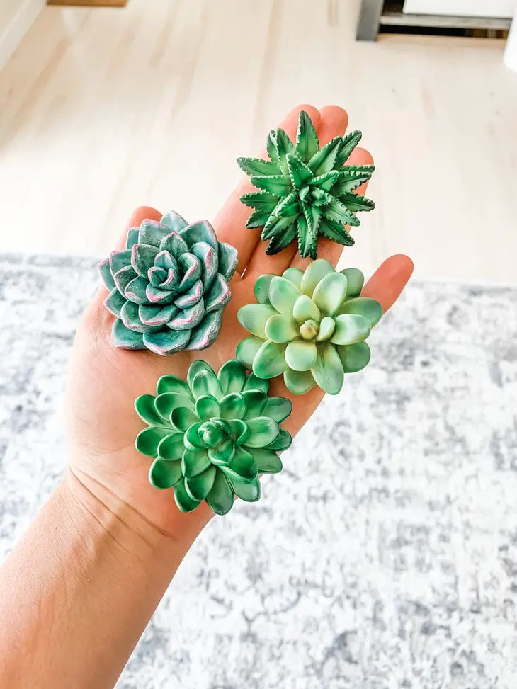 Mini 3D Succulent Resin Magnets